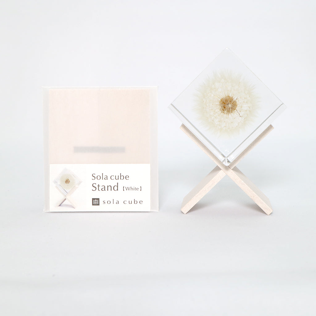 Sola cube wooden display stand
