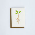 Letterpress card showing an acorn sprouting into an oak seedling