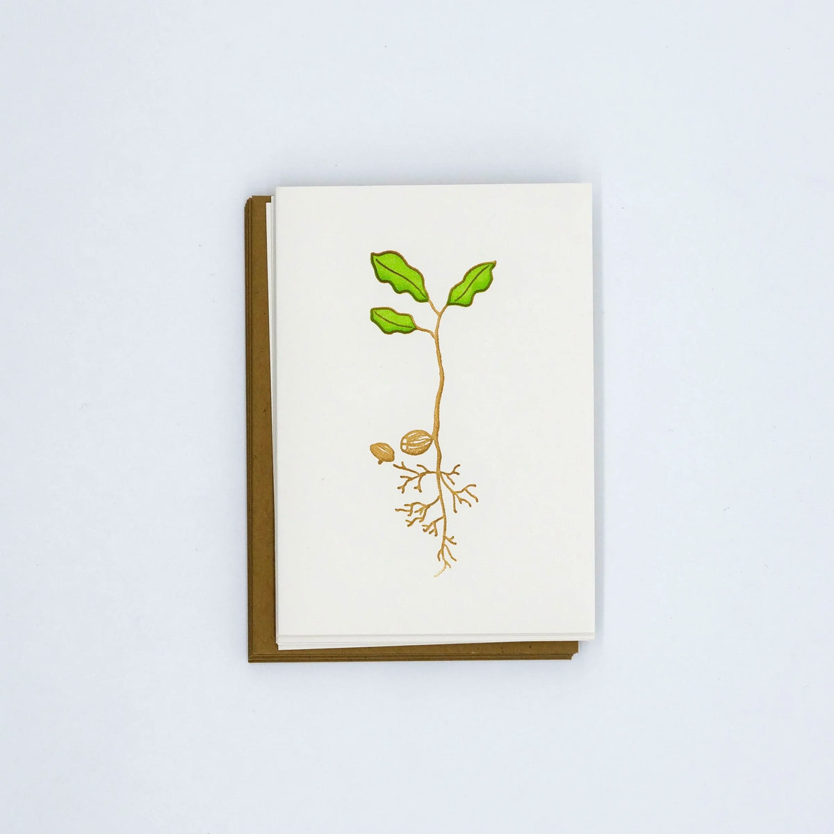 Letterpress card showing an acorn sprouting into an oak seedling