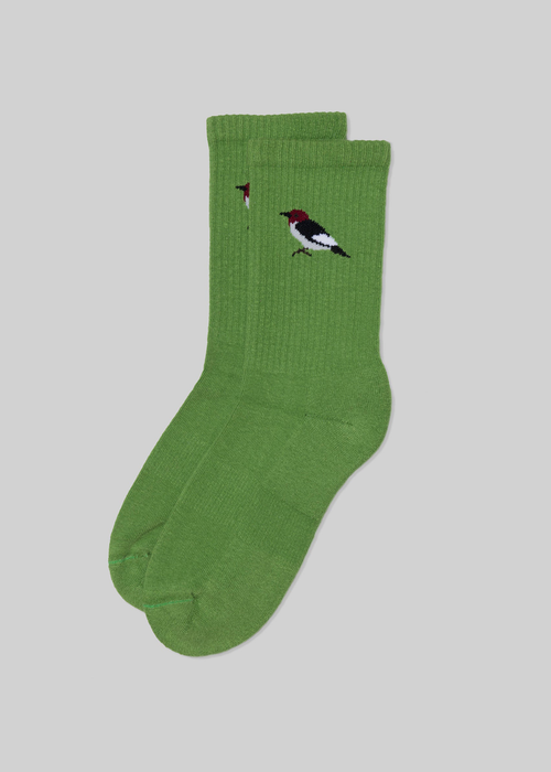 American Trench Zoo Crew Sock, Light Green Woodpecker